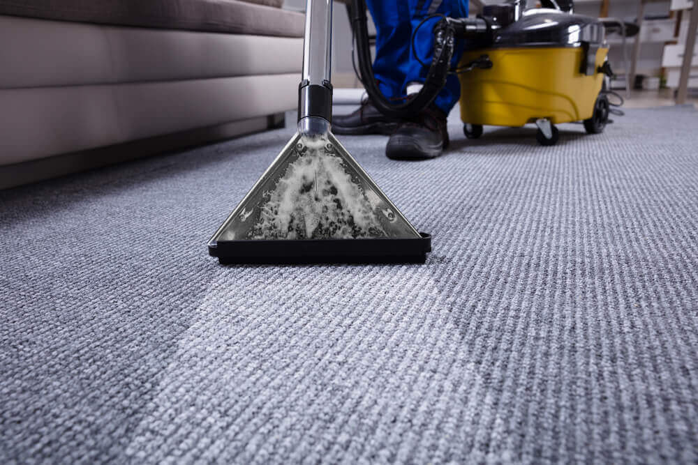 carpet cleaning Toowoomba's dirty carpet being cleaned with a vacuum cleaner leaving a clean line behind the head